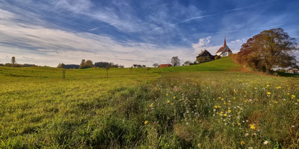 Podatki w Danii: Jakie są zasady i stawki na tle Europy?